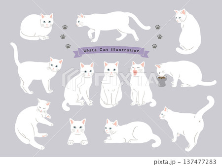 猫のいろいろなポーズセット 白猫 動作バリエーション 猫のいろいろなポーズセット 白猫 動作バリエーション 137477283