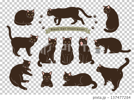 Various pose sets of cats Black cat movement variations Various pose sets of cats Black cat movement variations 137477284