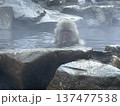 温泉で温まる猿 137477538