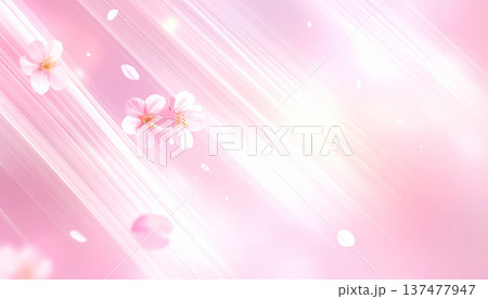 中央に浮かぶ桜の花・ピンクの光線と花びら 137477947