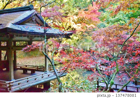 紅葉の新潟県加茂市加茂山公園風景 紅葉の新潟県加茂市加茂山公園風景 137478081