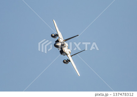 航空祭の戦闘機 137478312