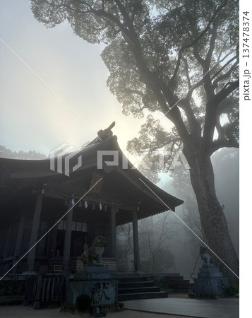 霧の竈門神社（宝満山登山口） 137478374