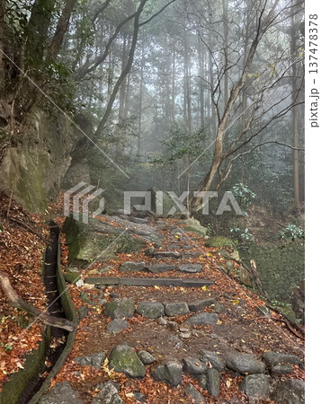 竈門神社から宝満山へ続く登山道 137478378