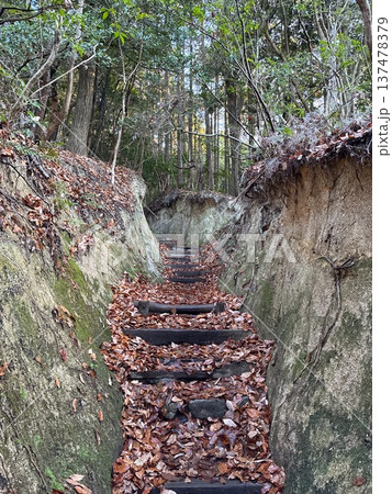 竈門神社から宝満山へ続く登山道 137478379