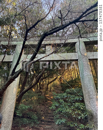 竈門神社から宝満山へ続く登山道の鳥居 竈門神社から宝満山へ続く登山道の鳥居 137478381