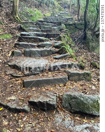 竈門神社から宝満山へ続く登山道 竈門神社から宝満山へ続く登山道 137478391