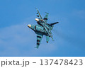 航空祭の戦闘機 137478423