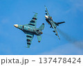 航空祭の戦闘機 137478424