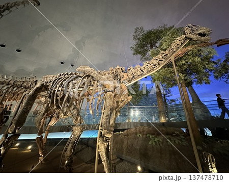 恐竜博物館　☆mar_lapin 137478710