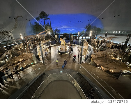 恐竜博物館　☆mar_lapin 137478756