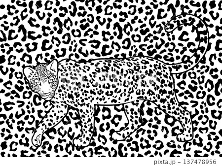 ヒョウ ヒョウ 137478956
