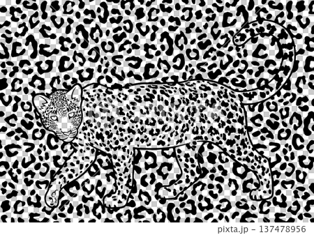 ヒョウ ヒョウ 137478956