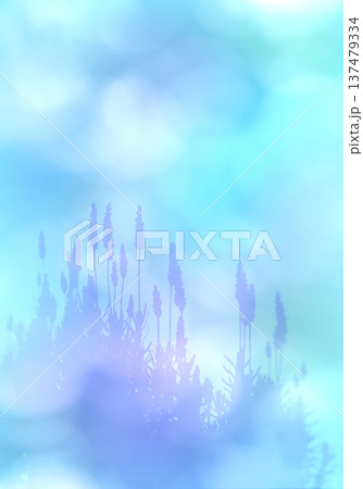 やわらかな木漏れ日を背景に、上品に咲くラベンダーのシルエット 137479334