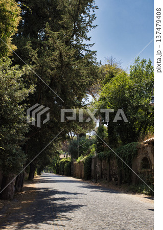 イタリアローマのアッピア街道 イタリアローマのアッピア街道 137479408