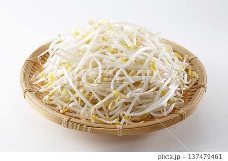 もやし 137479461