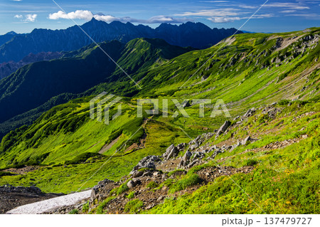 北アルプス・三俣蓮華岳から見る夏の槍ヶ岳・穂高岳 137479727