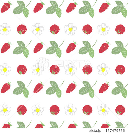 ワイルドストロベリーの実と花のシームレスパターン ワイルドストロベリーの実と花のシームレスパターン 137479736
