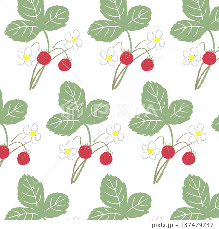 茎が伸びたワイルドストロベリーのシームレスパターン 茎が伸びたワイルドストロベリーのシームレスパターン 137479737