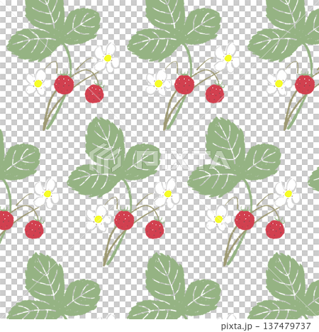 茎が伸びたワイルドストロベリーのシームレスパターン 茎が伸びたワイルドストロベリーのシームレスパターン 137479737