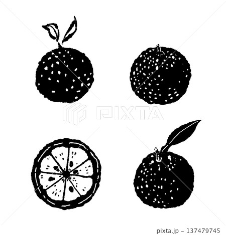 ゆずの果実と断面のセットイラスト 137479745