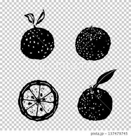 ゆずの果実と断面のセットイラスト 137479745