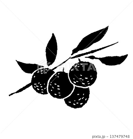 たくさんの実がなったゆずの枝のシルエット たくさんの実がなったゆずの枝のシルエット 137479748