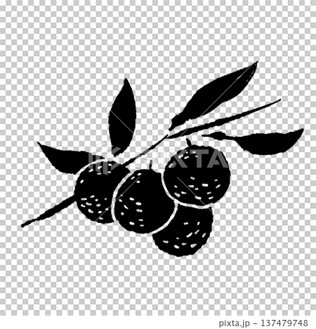 たくさんの実がなったゆずの枝のシルエット たくさんの実がなったゆずの枝のシルエット 137479748