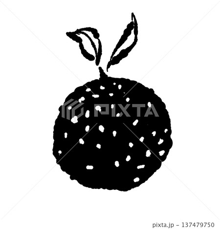 葉付きのゆずの果実(正面)のイラスト 葉付きのゆずの果実(正面)のイラスト 137479750