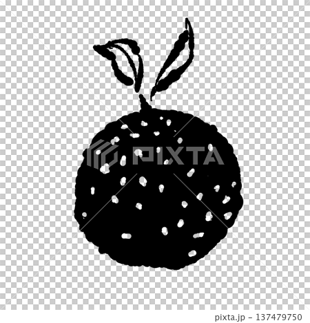 葉付きのゆずの果実(正面)のイラスト 葉付きのゆずの果実(正面)のイラスト 137479750