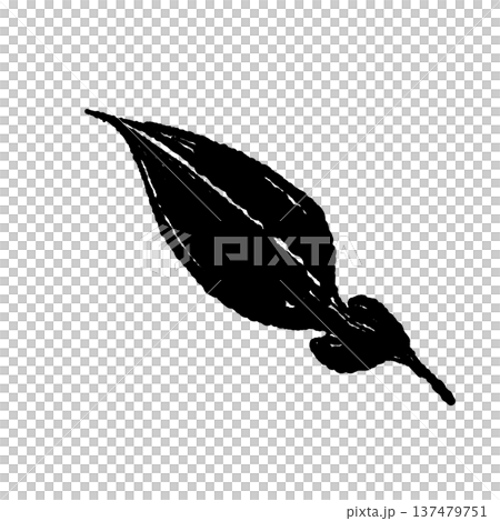 ゆずの葉っぱ(単体)のイラスト ゆずの葉っぱ(単体)のイラスト 137479751