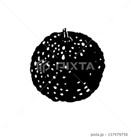 葉なしのゆずの果実シルエット 137479756