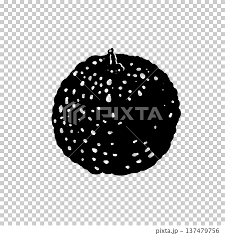 葉なしのゆずの果実シルエット 137479756