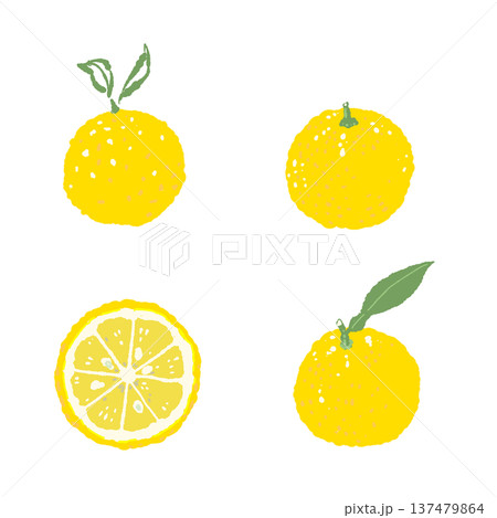 ゆずのバリエーションの手描きイラストセット素材（丸ごと・輪切り） 137479864