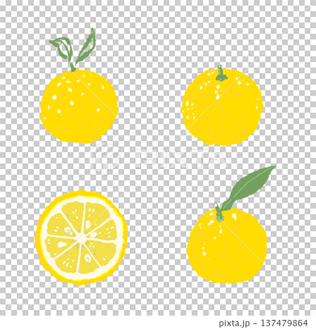 ゆずのバリエーションの手描きイラストセット素材（丸ごと・輪切り） 137479864