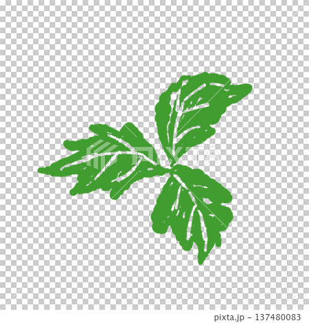 Simple trefoil leaf illustration Simple trefoil leaf illustration 137480083