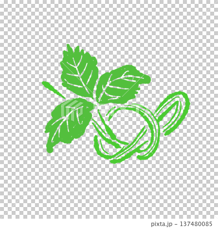 Simple illustration of a knotted trefoil Simple illustration of a knotted trefoil 137480085