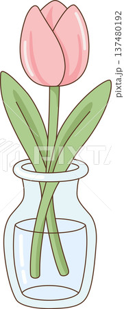 Minimalist Hand Drawn Illustration of a Pink Tulip in a Clear Glass Vase for Spring, Floral, and Romantic Concept 137480192