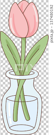 Minimalist Hand Drawn Illustration of a Pink Tulip in a Clear Glass Vase for Spring, Floral, and Romantic Concept 137480192