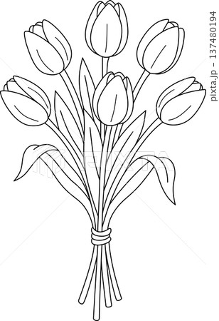 Minimalist Hand Drawn Illustration of a Tulip Flower Bouquet for Spring, Wedding, and Romantic Decoration Concept Minimalist Hand Drawn Illustration of a Tulip Flower Bouquet for Spring, Wedding, and Romantic Decoration Concept 137480194