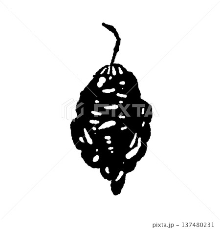 しわしわの乾燥唐辛子のシルエットイラスト 137480231