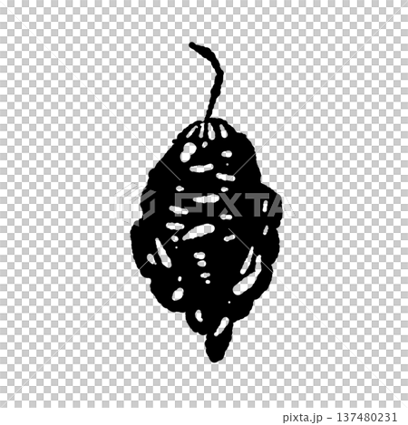 しわしわの乾燥唐辛子のシルエットイラスト 137480231