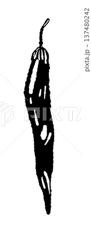 シンプルな一本の唐辛子のシルエット シンプルな一本の唐辛子のシルエット 137480242