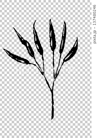 枝についた唐辛子のモノクロシルエット 137480246