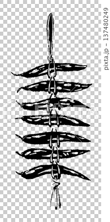 紐で吊るした乾燥唐辛子（束）のシルエット 137480249