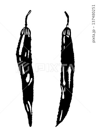 二本の唐辛子のモノクロシルエットイラスト 二本の唐辛子のモノクロシルエットイラスト 137480251