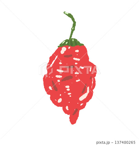 ハバネロ風の丸い唐辛子の手描きイラスト素材 137480265