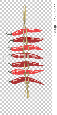 手繪插圖：懸掛的辣椒（乾燥和保存） 137480277
