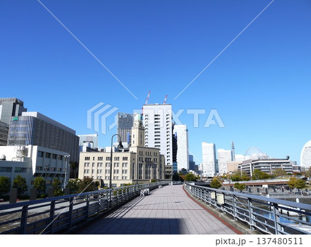 青空が広がる山下臨港線プロムナード 青空が広がる山下臨港線プロムナード 137480511