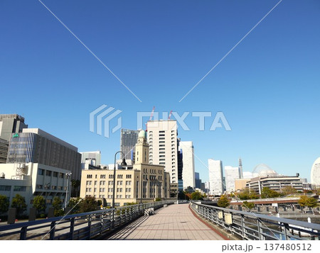 晴天の山下臨港線プロムナード 137480512